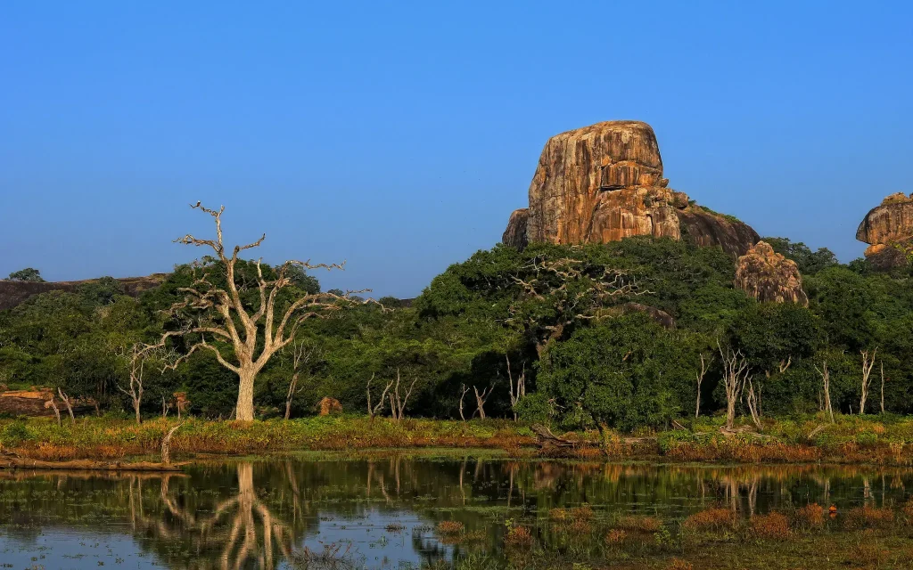 lake in yala national park safari tour