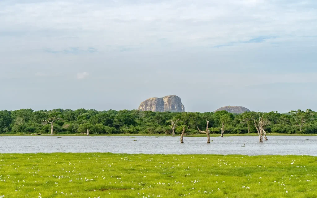 lake view at yala national park safari tour