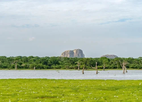 lake view at yala national park safari tour