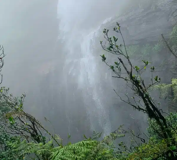 sri lanka trek kotaganga